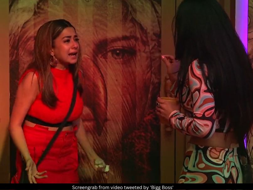Tina Datta Big Boss 