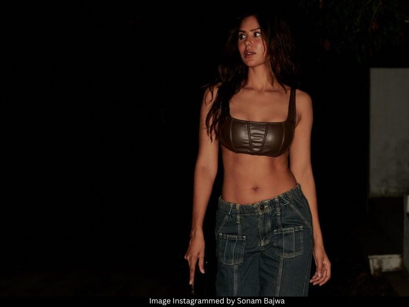Sonam Bajwa 