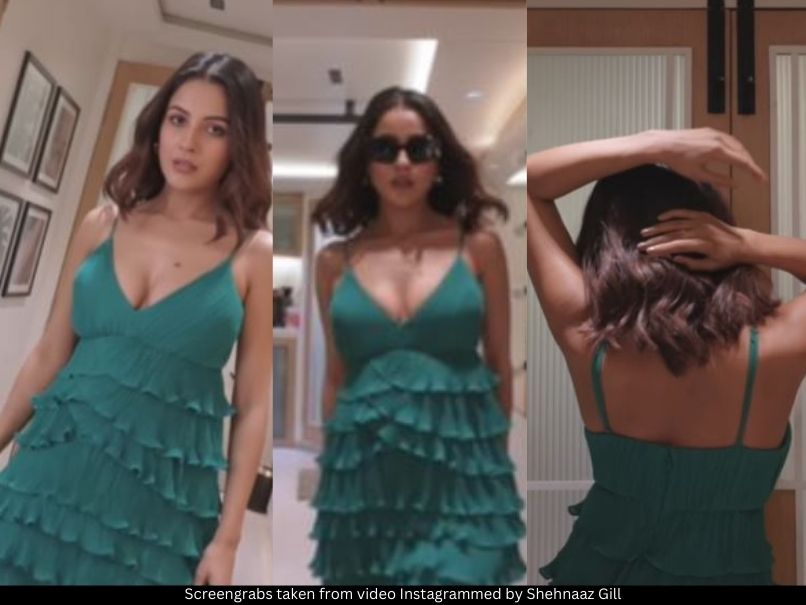 Shehnaaz Gill 