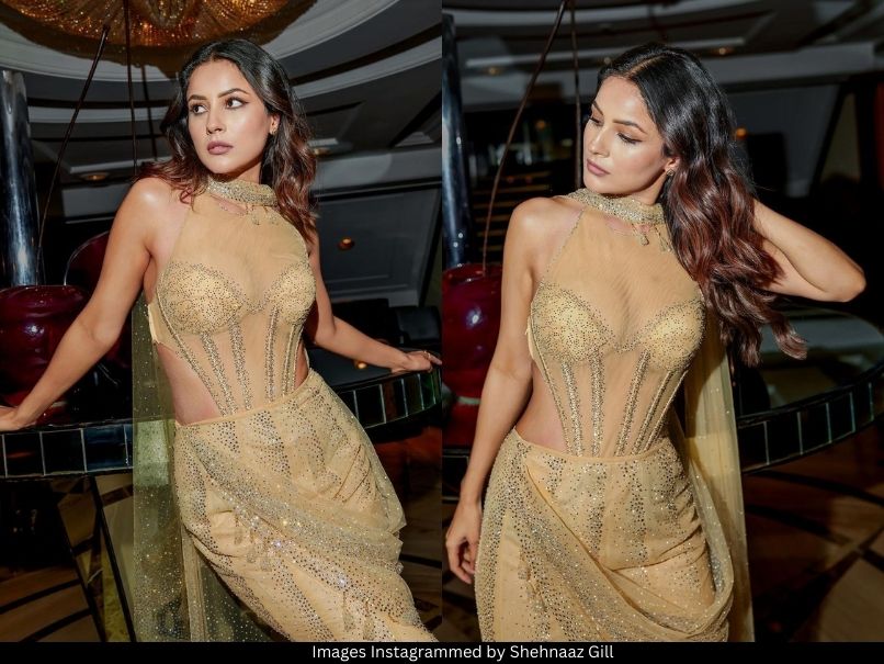Shehnaaz Gill 