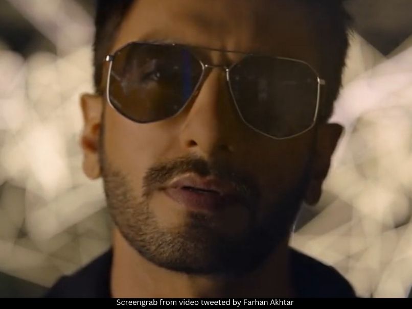 Ranveer Singh Don 3 