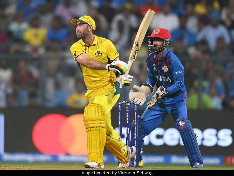 Glenn Maxwell 