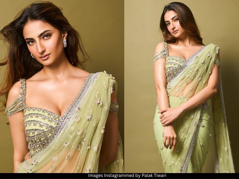 Palak Tiwari