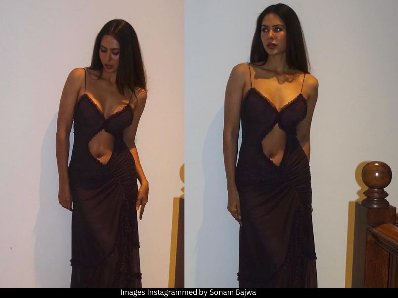 Sonam Bajwa 