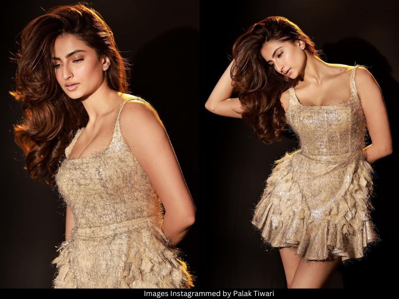 Palak Tiwari 