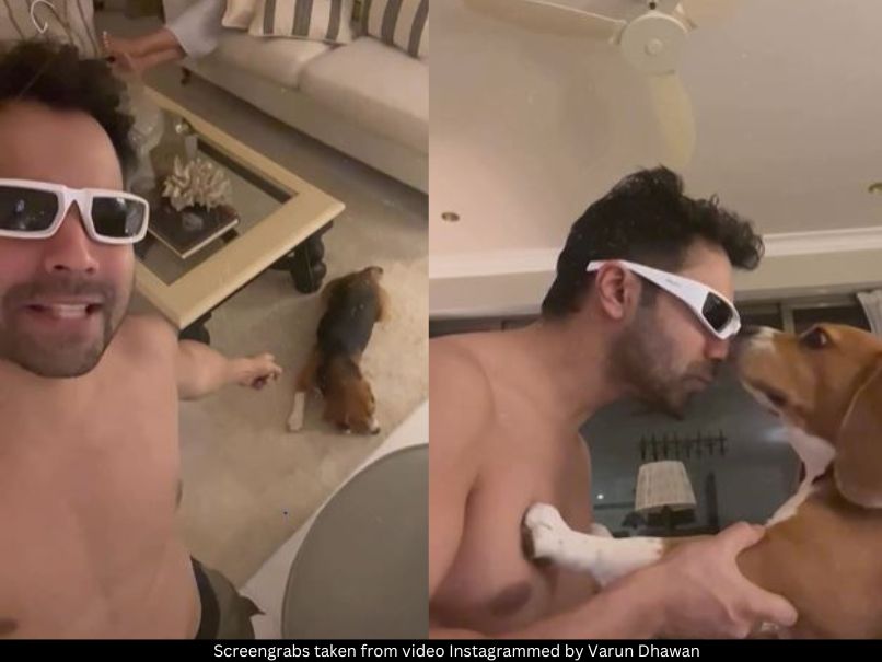 Varun Dhawan 