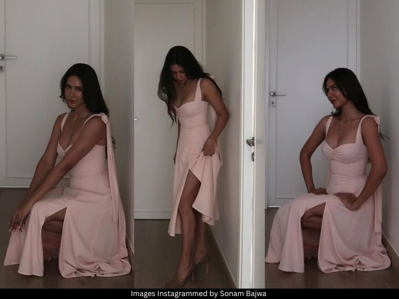 Sonam Bajwa