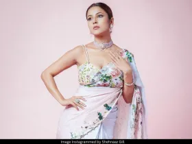 Shehnaaz Gill 