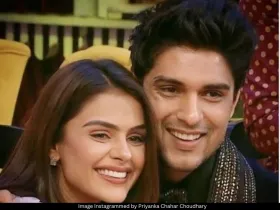 PriyAnkit 