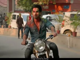 Shahid Kapoor 