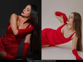 Shehnaaz Gill 