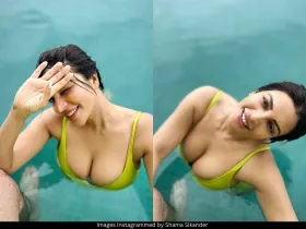 Shama Sikander 