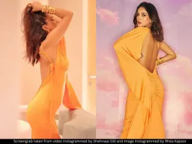 Shehnaaz Gill