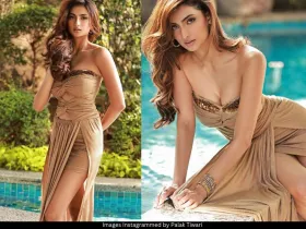 Palak Tiwari 