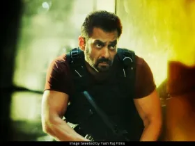 Salman Khan Tiger 3 