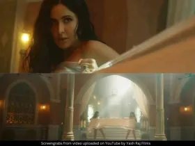 Katrina Kaif Tiger 3 