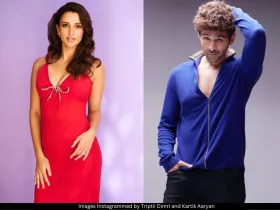 Triptii Dimri and Kartik Aaryan 