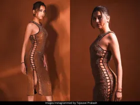 Tejasswi Prakash 