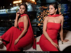 Shehnaaz Gill