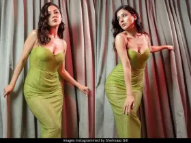 Shehnaaz Gill