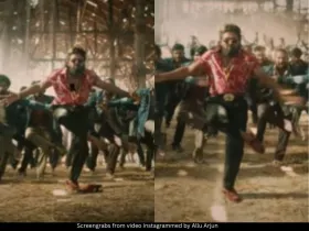 Allu Arjun 