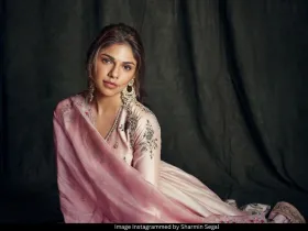 Sharmin Segal 