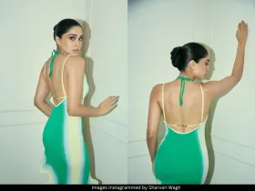 Sharvari Wagh 