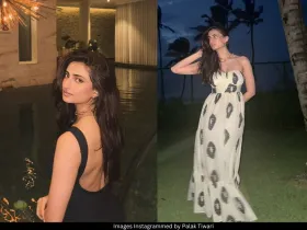 Palak Tiwari