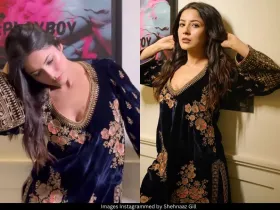 Shehnaaz Gill