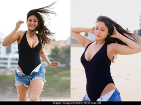 Shehnaaz Gill