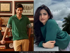Ibrahim Ali Khan Palak Tiwari