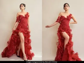 Manushi Chhillar