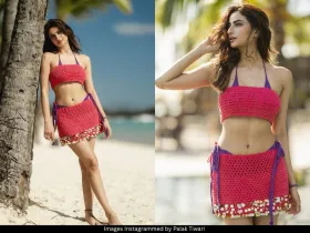 Palak Tiwari