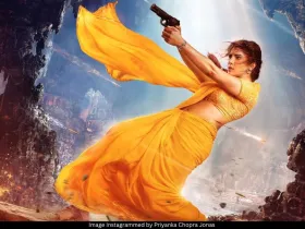 Priyanka Chopra Jonas