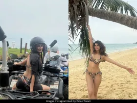 Palak Tiwari
