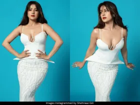 Shehnaaz Gill