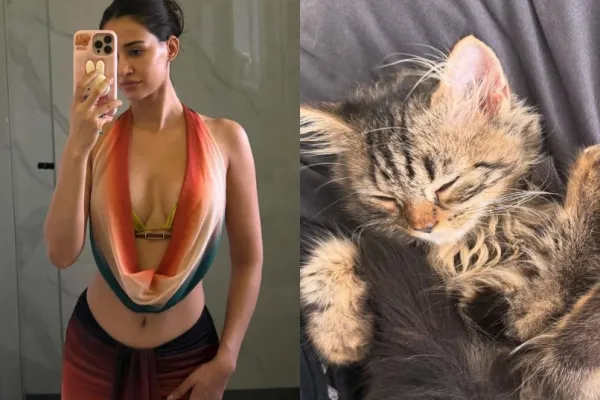 Disha Patani